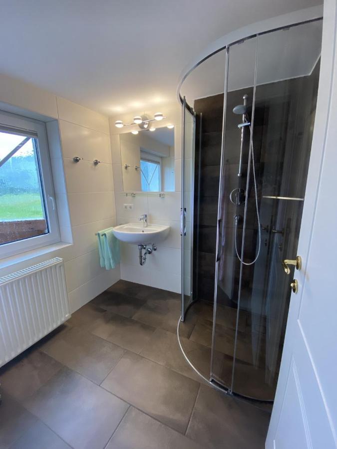 Apartamento Haus Meneweger Flachau Exterior foto
